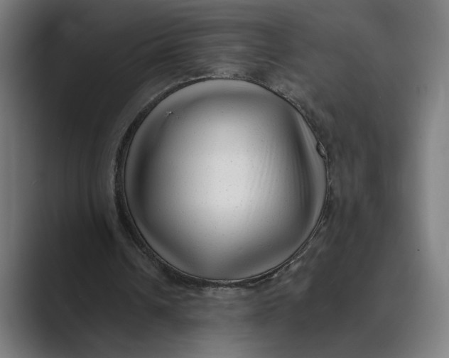 X0000088920242200706291532