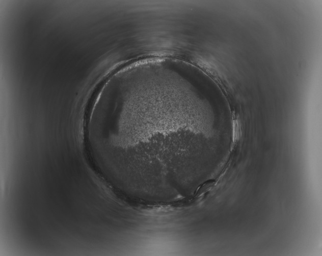 X0000088920243200706291532