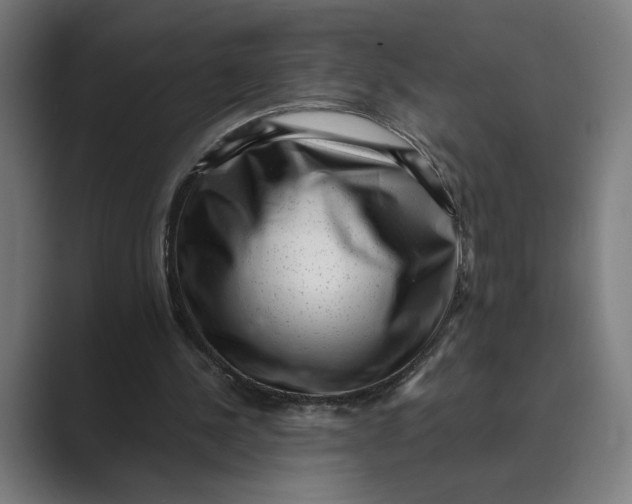 X0000088920244200706291532