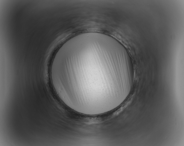 X0000088920245200706291532