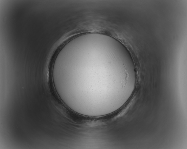X0000088920246200706291532