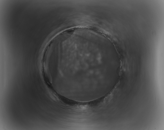 X0000088920247200706291532