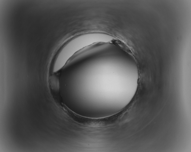 X0000088920248200706291532