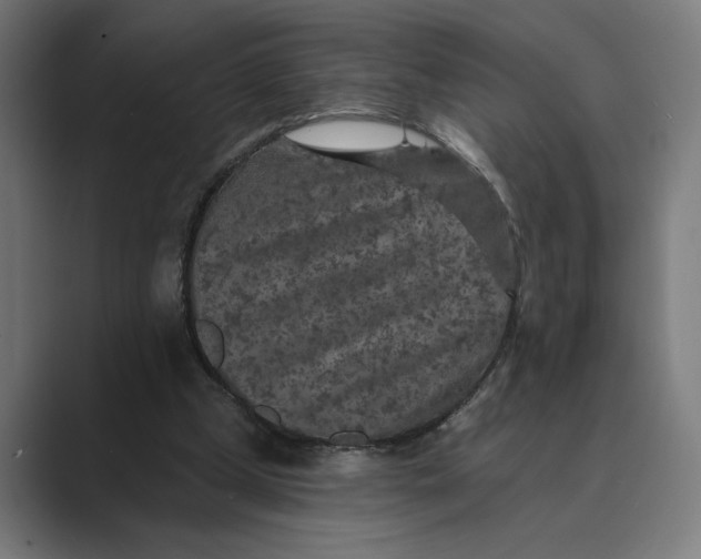 X0000088920249200706291532