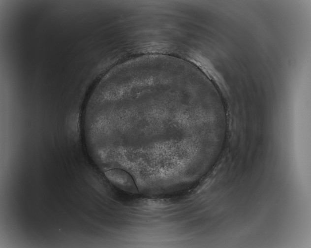 X0000088920250200706291532