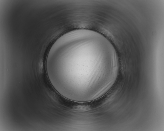 X0000088920251200706291532