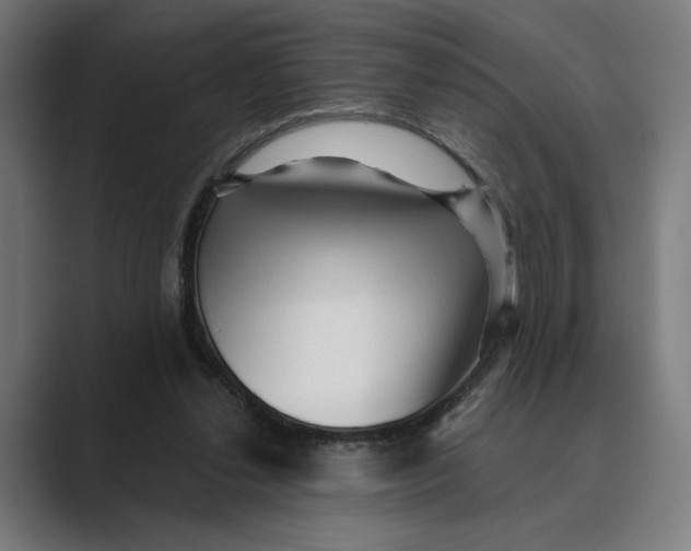 X0000088920252200706291532