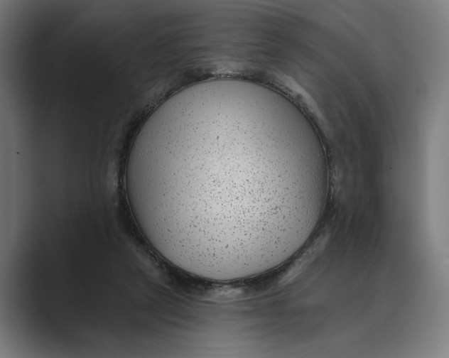 X0000088920257200706291532