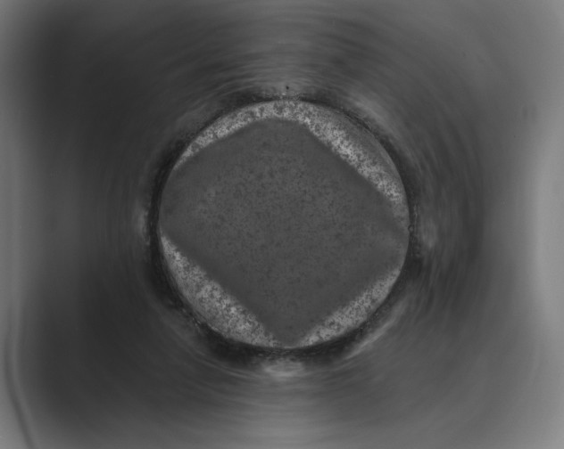 X0000088920258200706291532