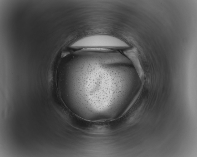 X0000088920260200706291532