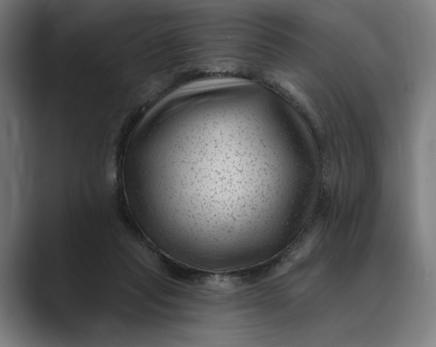 X0000088920261200706291532