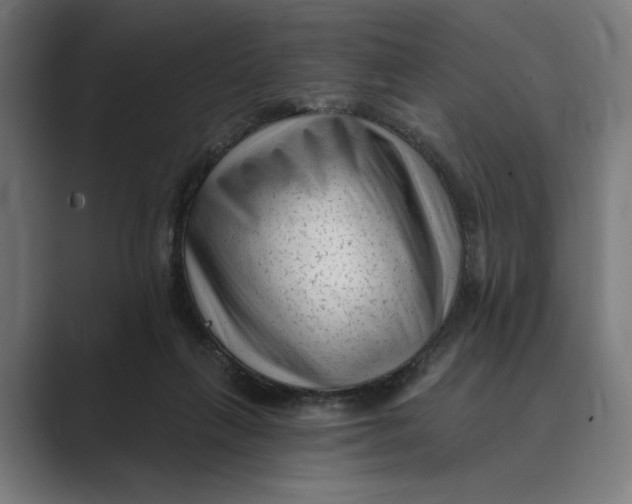 X0000088920263200706291532