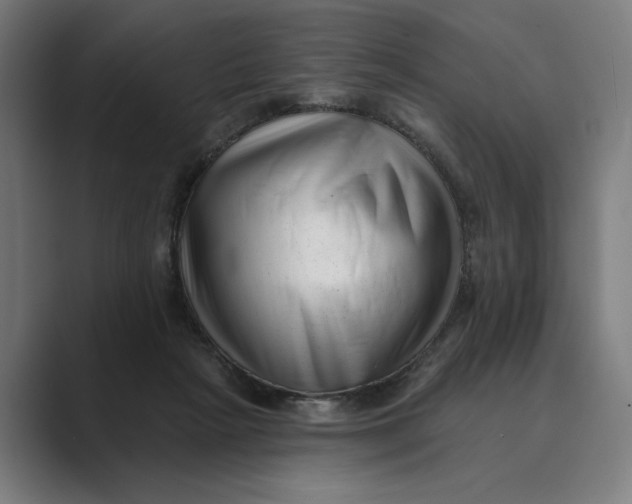X0000088920265200706291532