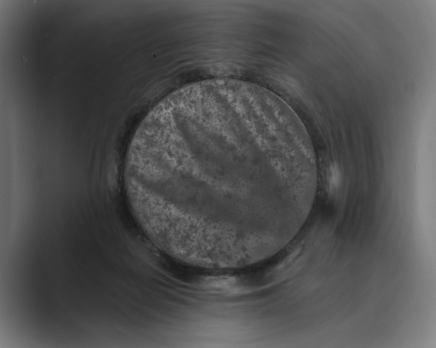 X0000088920266200706291532