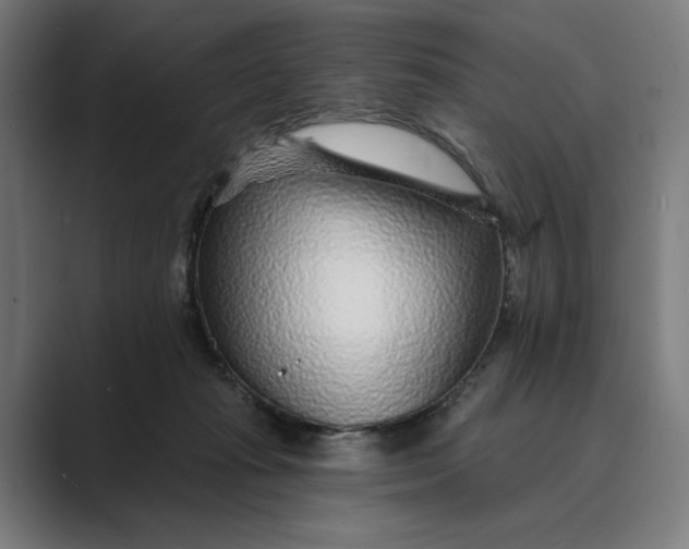 X0000088920269200706291532