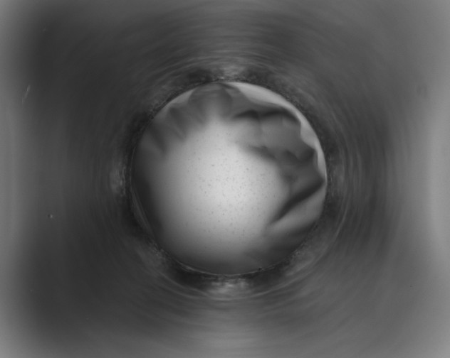 X0000088920274200706291532
