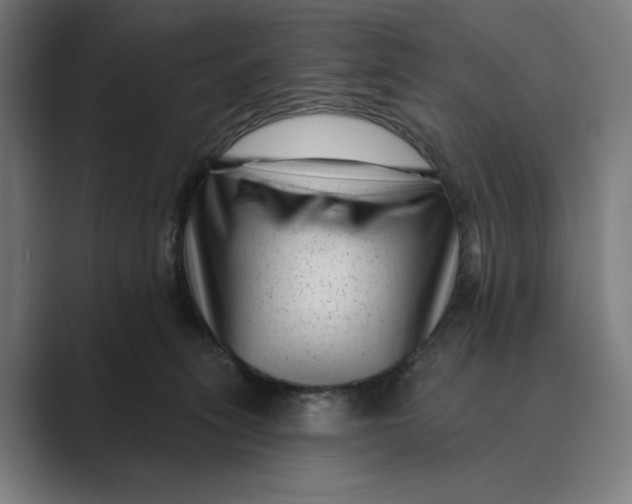 X0000088920275200706291532