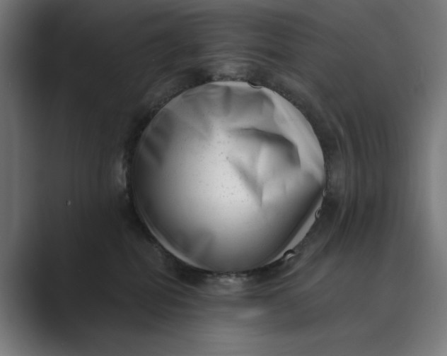 X0000088920282200706291533