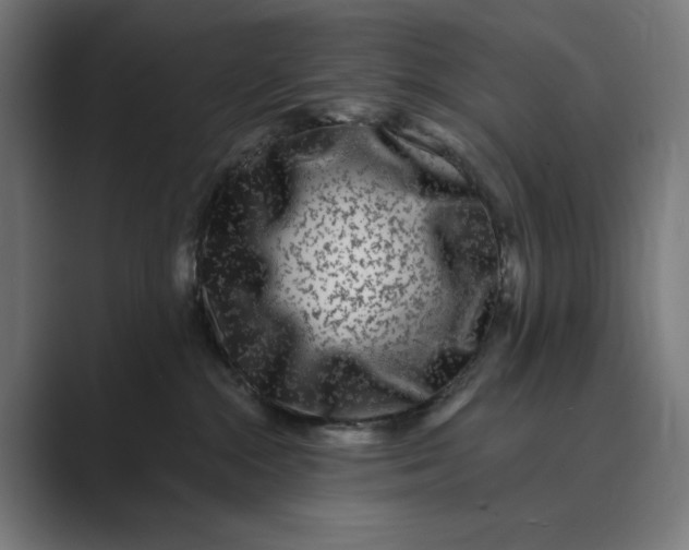 X0000088920284200706291533