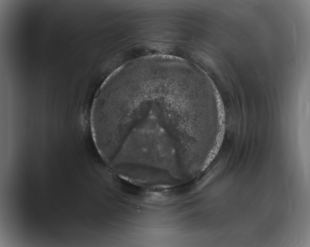 X0000088920285200706291533