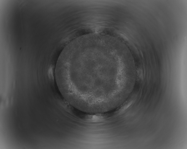 X0000088920286200706291533
