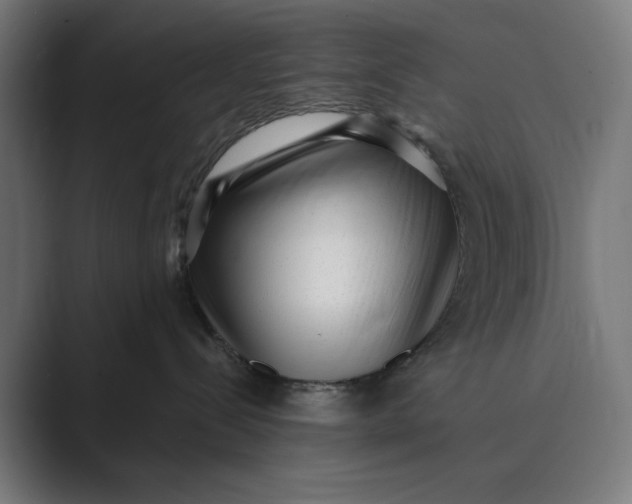 X0000088920288200706291533
