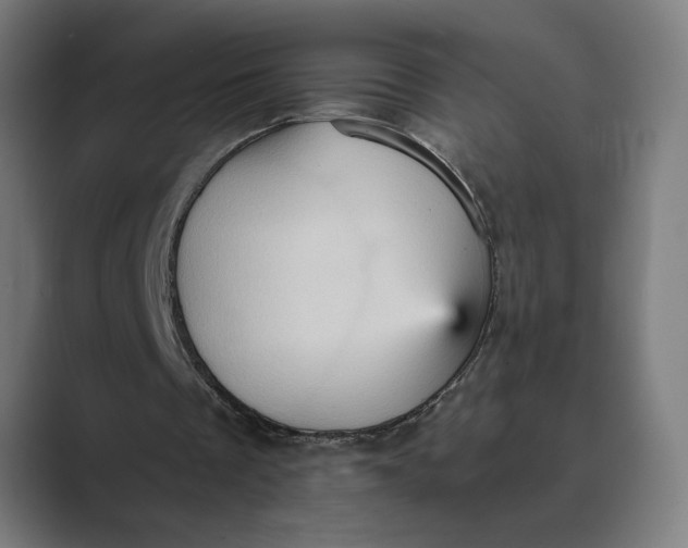 X0000088920289200706291532