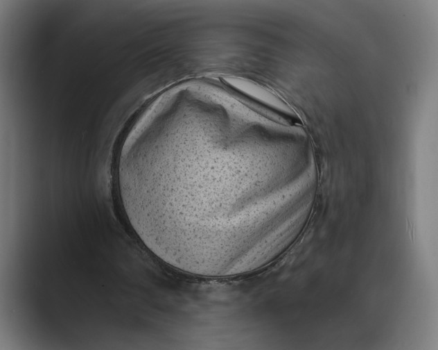 X0000088920290200706291532