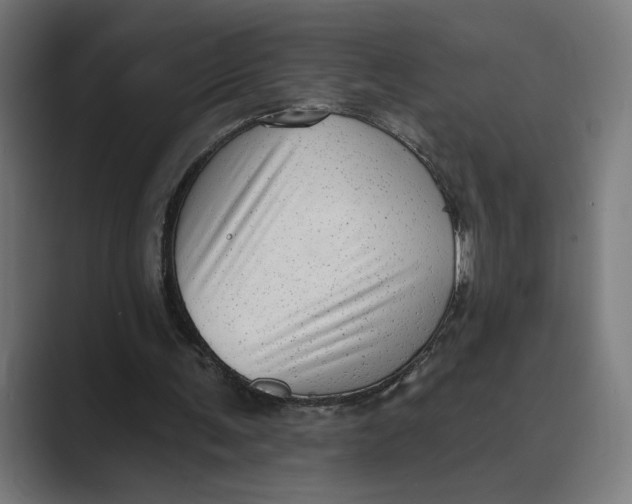X0000088920291200706291532