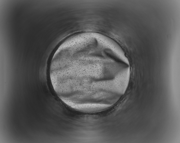 X0000088920292200706291532