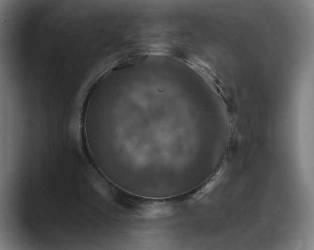 X0000088920293200706291532