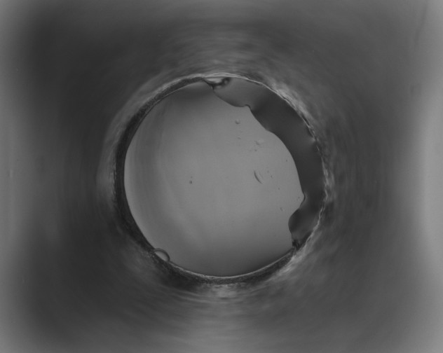 X0000088920295200706291532