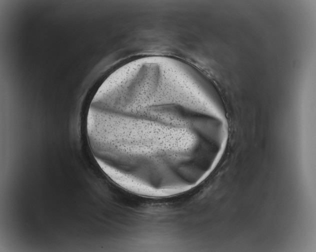 X0000088920296200706291532
