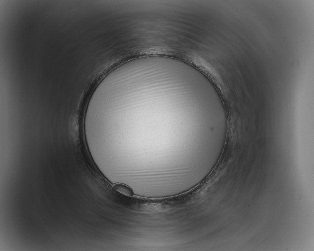 X0000088920298200706291532