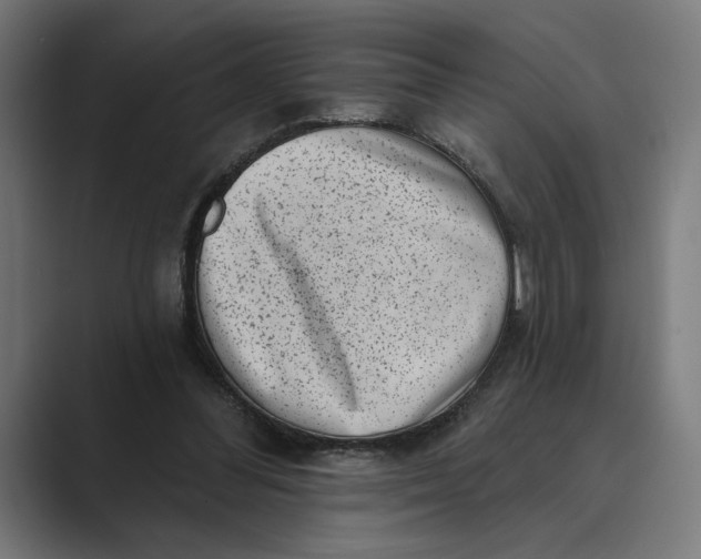 X0000088920300200706291532