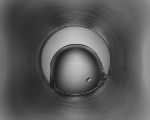 X0000088920301200706291532