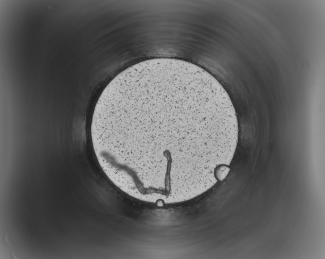 X0000088920302200706291532