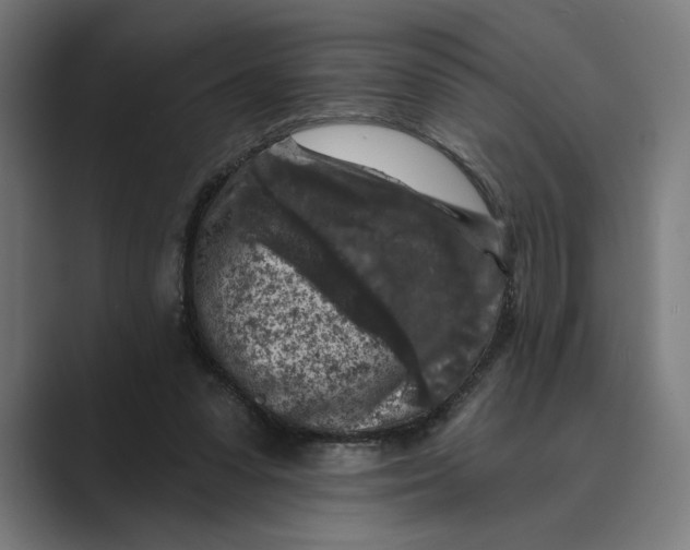 X0000088920303200706291532