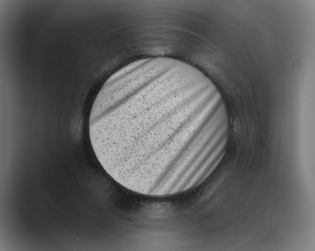 X0000088920304200706291532