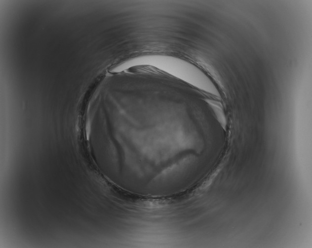X0000088920305200706291532