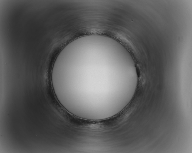 X0000088920306200706291532