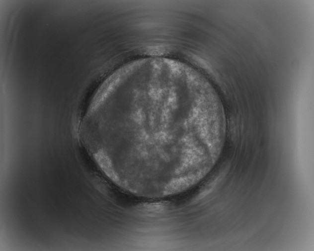 X0000088920307200706291532