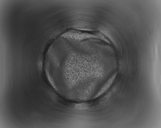 X0000088920309200706291532