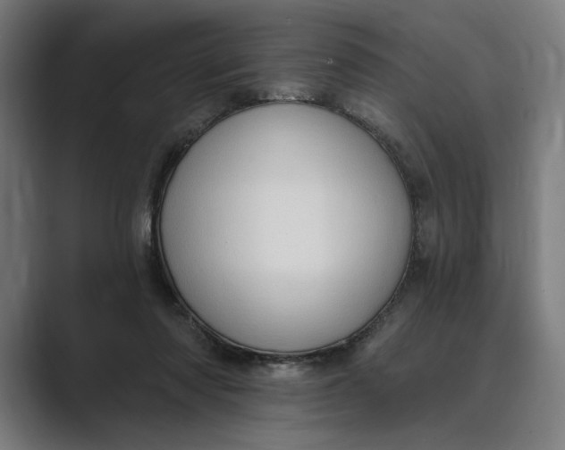 X0000088920310200706291532