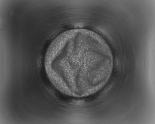 X0000088920311200706291532