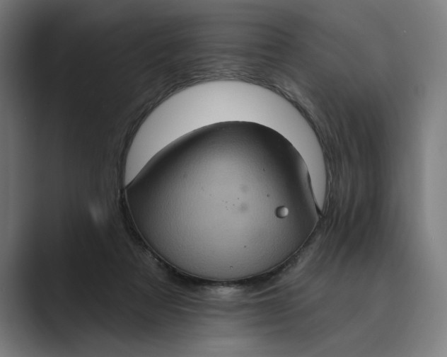 X0000088920313200706291532