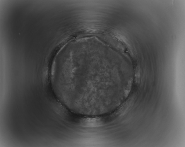 X0000088920314200706291532