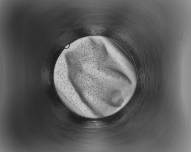 X0000088920316200706291532