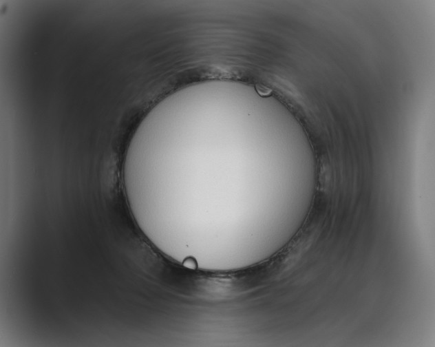 X0000088920318200706291532