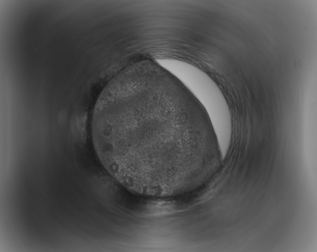 X0000088920319200706291532